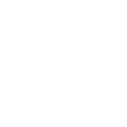 Flights Supported Icon