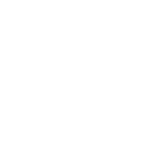 Countries Global Network Icon